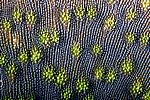 021a_S_082_127.jpg