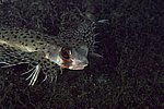 026_LIA_006173.jpg