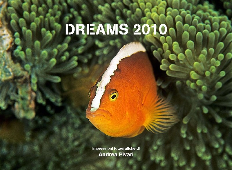 00_COPERTINA_800