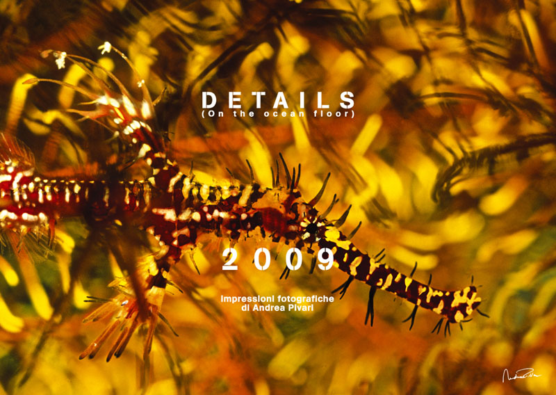 00_COPERTINA DETAILS2009