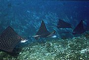 08_Agosto_S_092_014.jpg