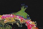 151_N_086_029c.jpg
