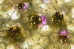 063a_S_080_277.jpg